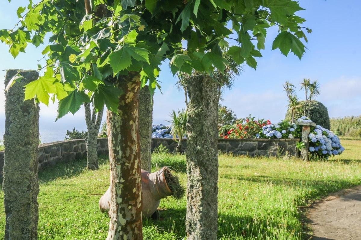 Green Oceanview Relaxing Cottage Mosteiros  Extérieur photo